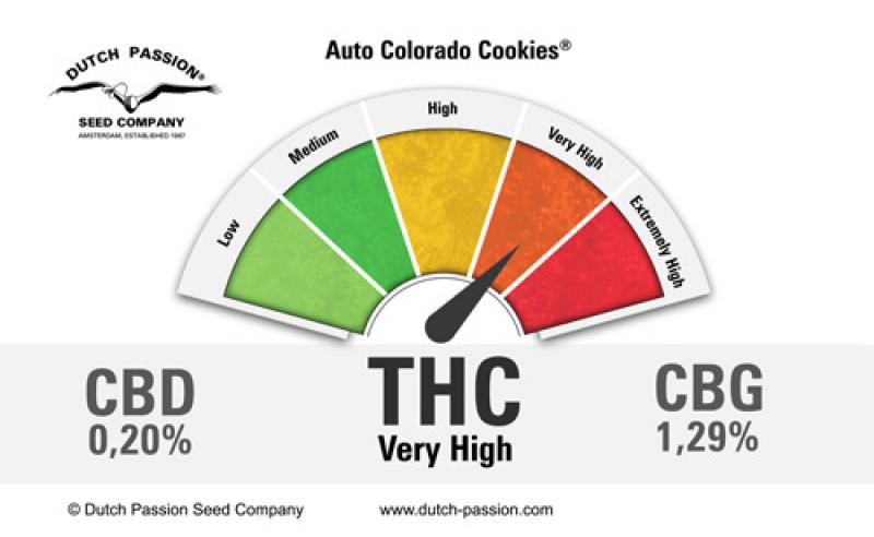 Auto Colorado Cookies (Dutch Passion)