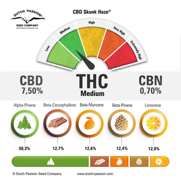 CBD SkunkHaze (Dutch Passion)