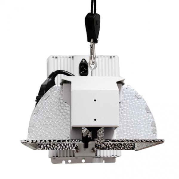 DE STAR 1000w Sinowell