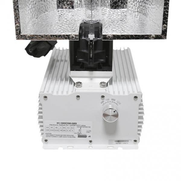 DE STAR 1000w Sinowell