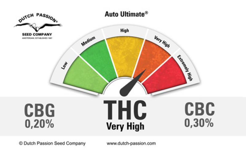Auto Ultimate (Dutch Passion)