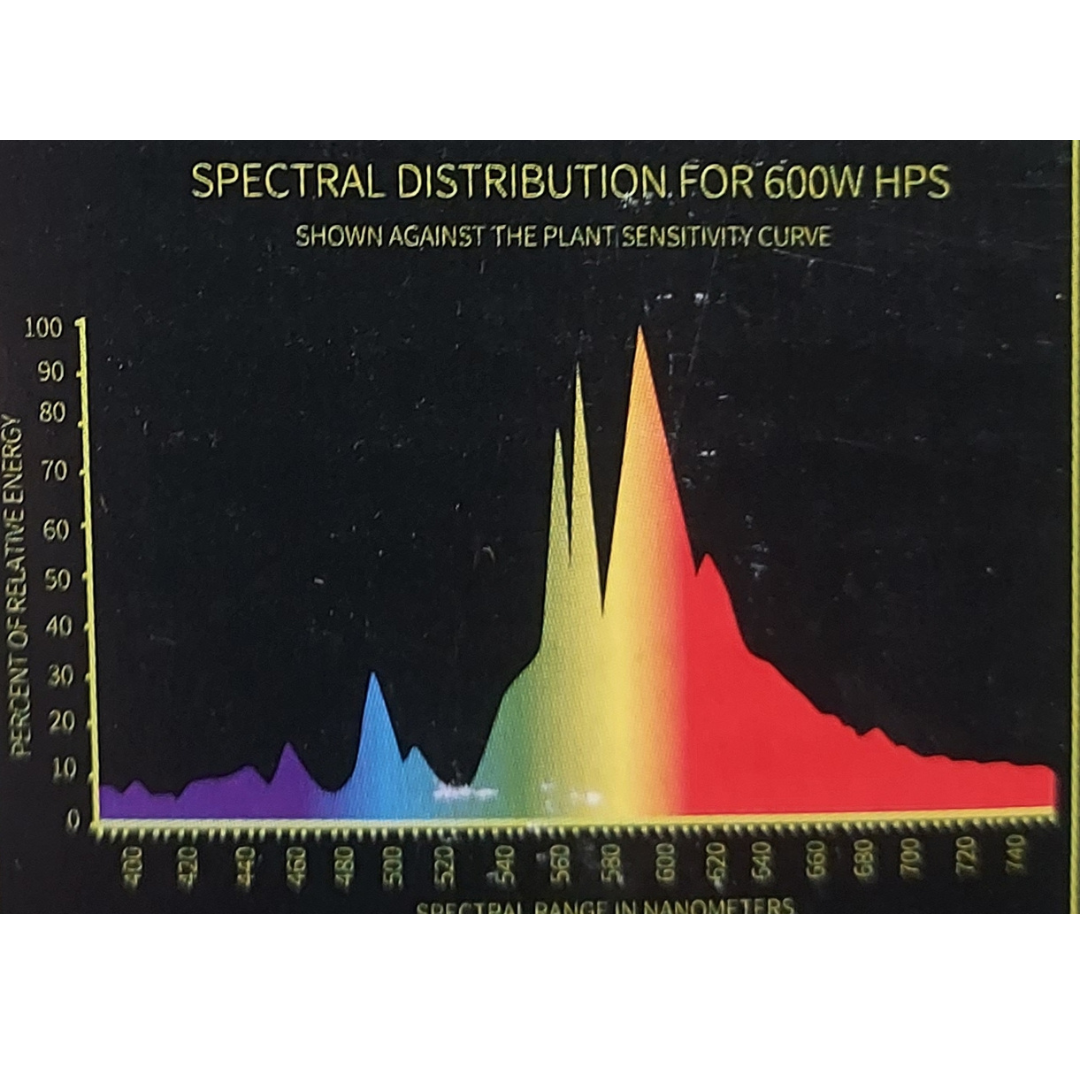 Super HPS 600w polttimo