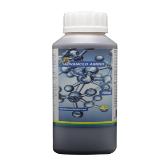 AHH Amino 500ml