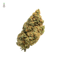 Blue Amnesia Auto 3kpl (Amsterdam genetics)