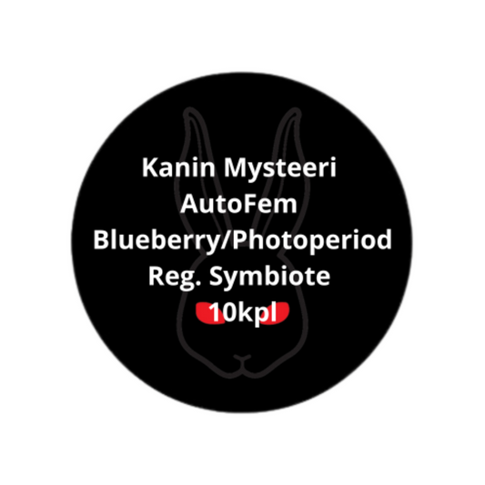 Kanin Mysteeri AutoFem Blueberry/PhotoperiodReg Symbiote 10kpl