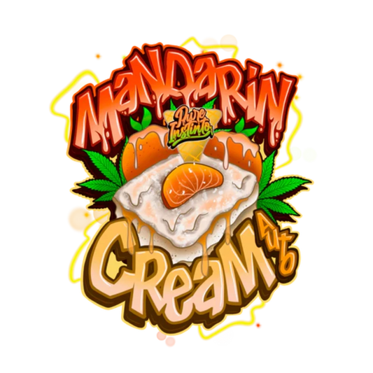Mandarine Cream Autoflower