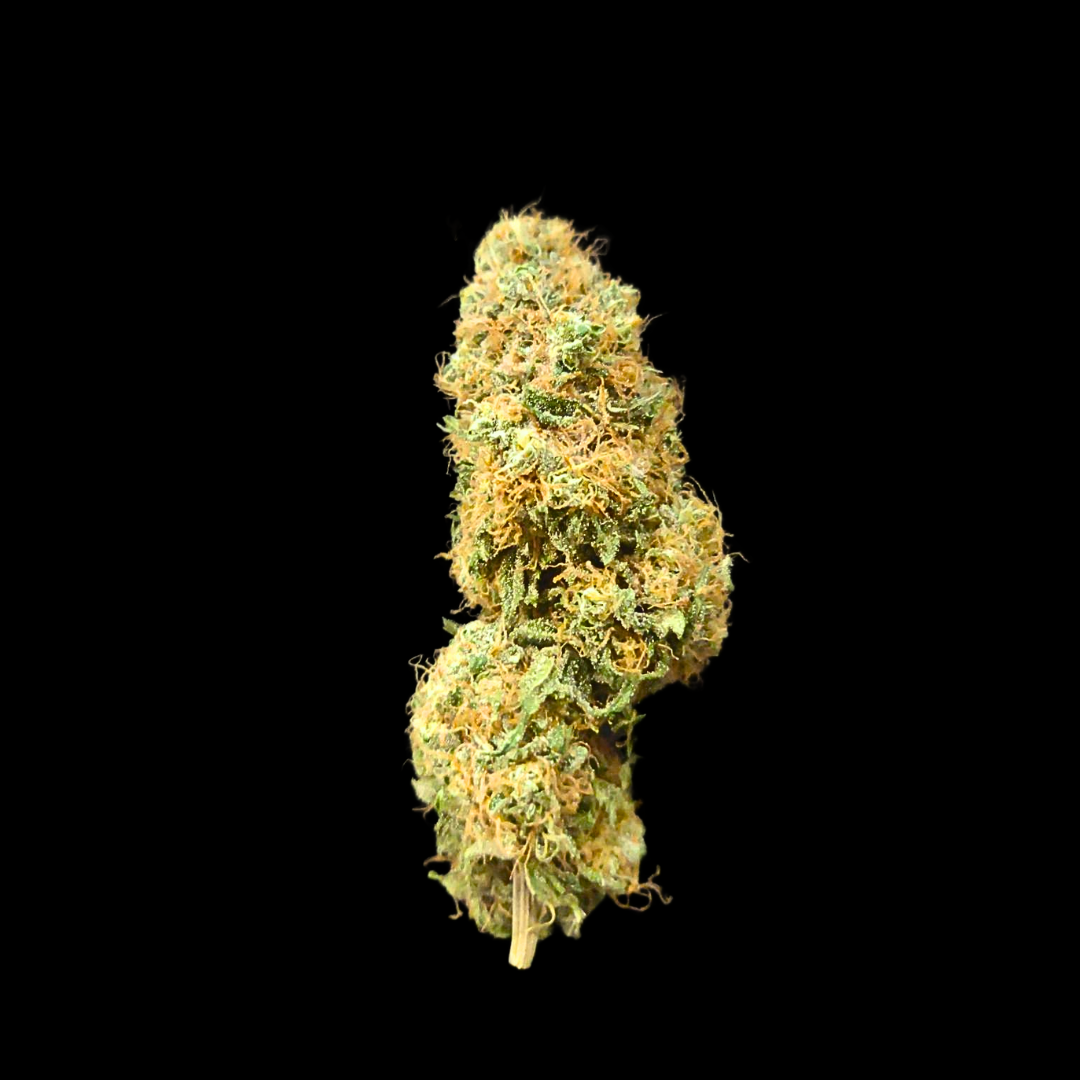 CBG-Kukinto Strawberry Haze THC 0% Luonnolliset terpeenit