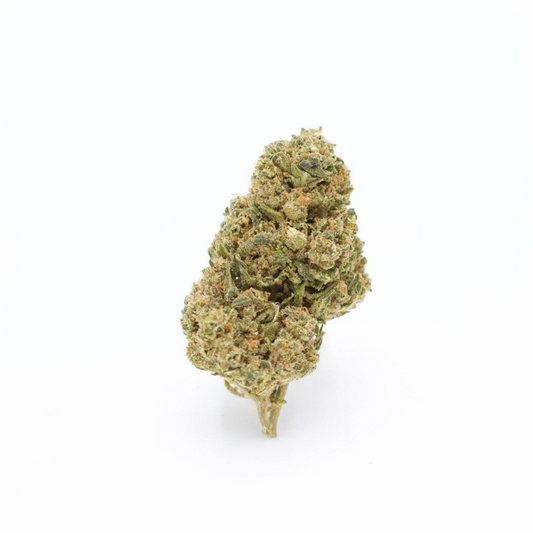 CBN-Kukinto Northern Lights CBN 20% THC 0%