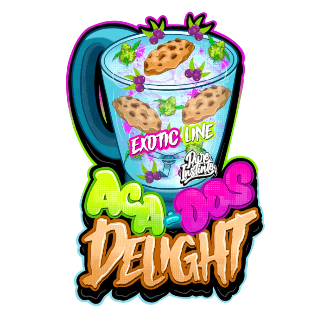 Aca – Dos Delight Pure Instinto feminisoitu kannabiksen siemen ja hartsista kimalteleva kukinto
