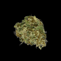 Amnesia CBD ja CBG kukinto lähikuva