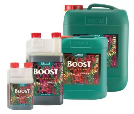 Canna CANNABOOST Accelerator 1 litran pullo kasvien seassa, korostaa tuotteen tehokkuutta ja ammattimaisuutta.