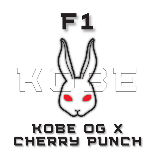 F1 KOBE OG x Cherry Punch