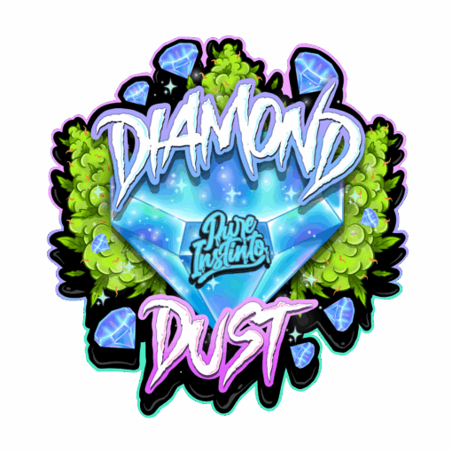 Pakkaus Pure Instinto Diamond Dust feminisoituja kannabiksen siemeniä, kuvassa esimerkki tiheästä, valkoisesta ja hartsisesta kukinnosta.