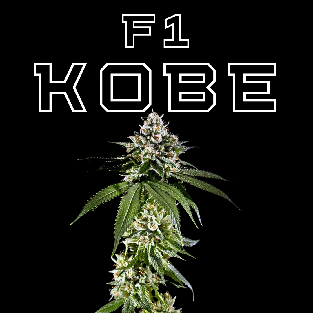 F1 KOBE OG x Fire OG