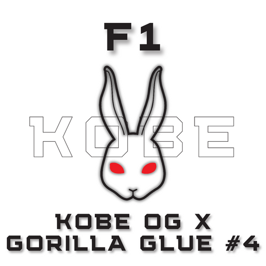 F1 KOBE OG x Gorilla Glue #4