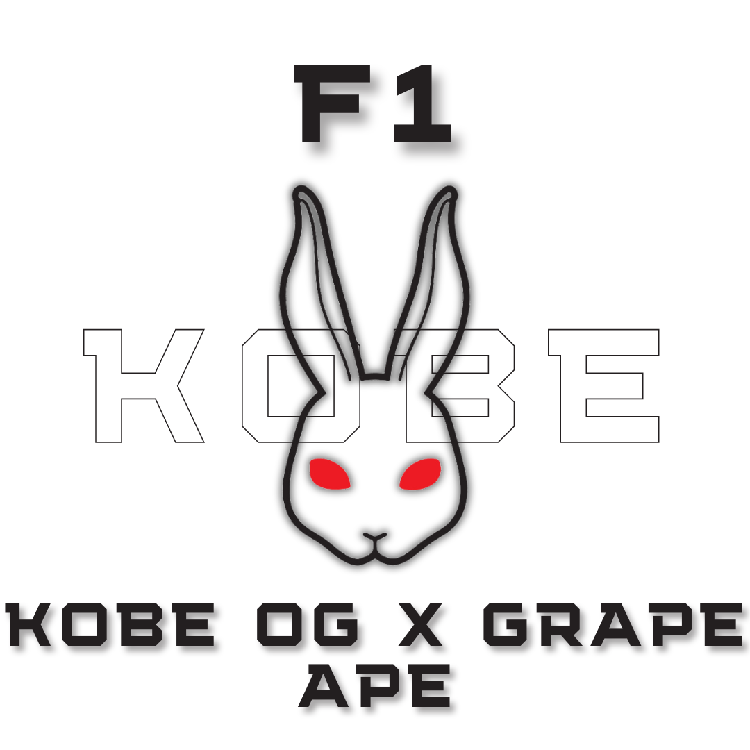 F1 KOBE OG x Grape Ape