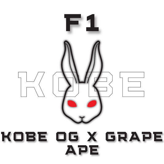 F1 KOBE OG x Grape Ape