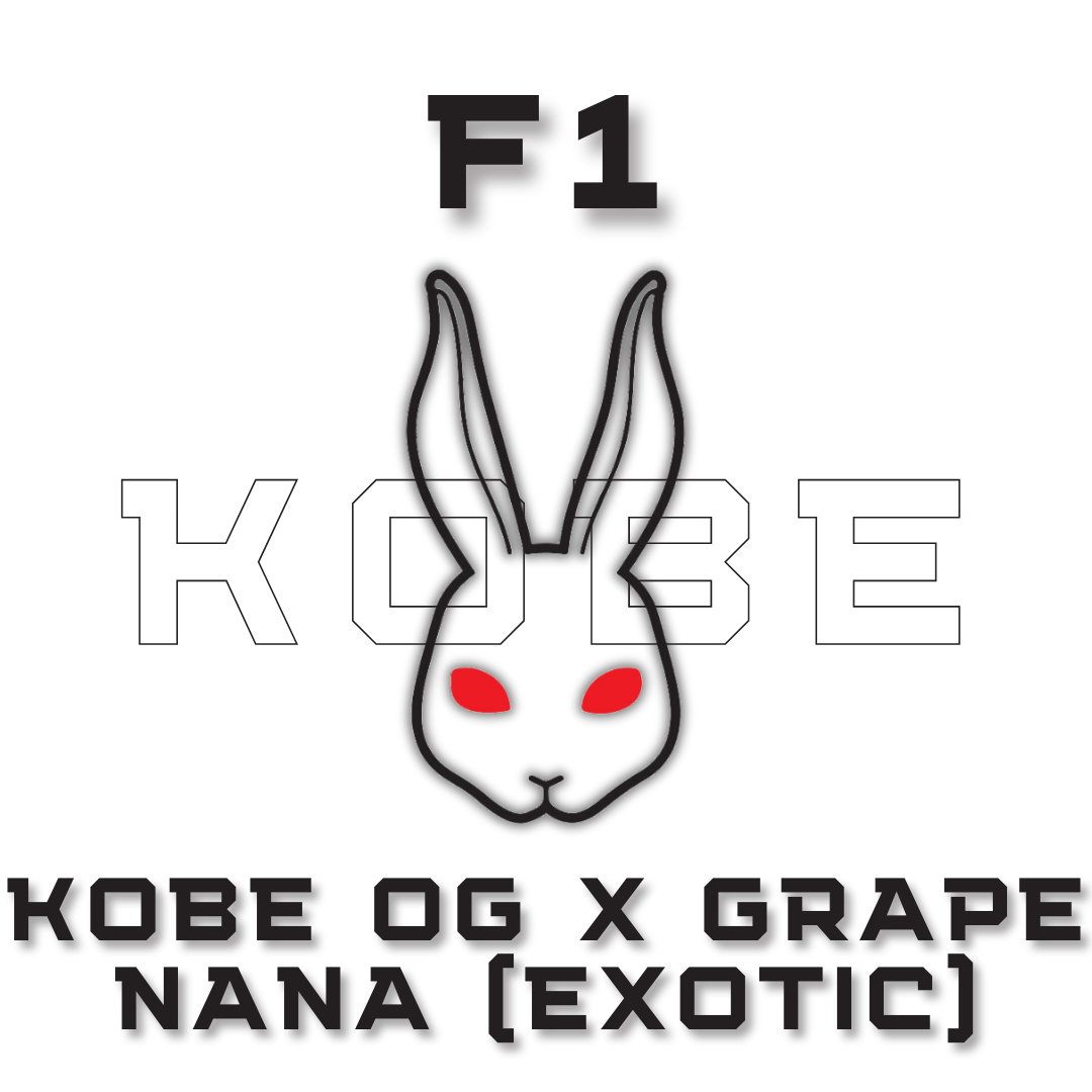 F1 KOBE OG x Grape Nana (Exotic)