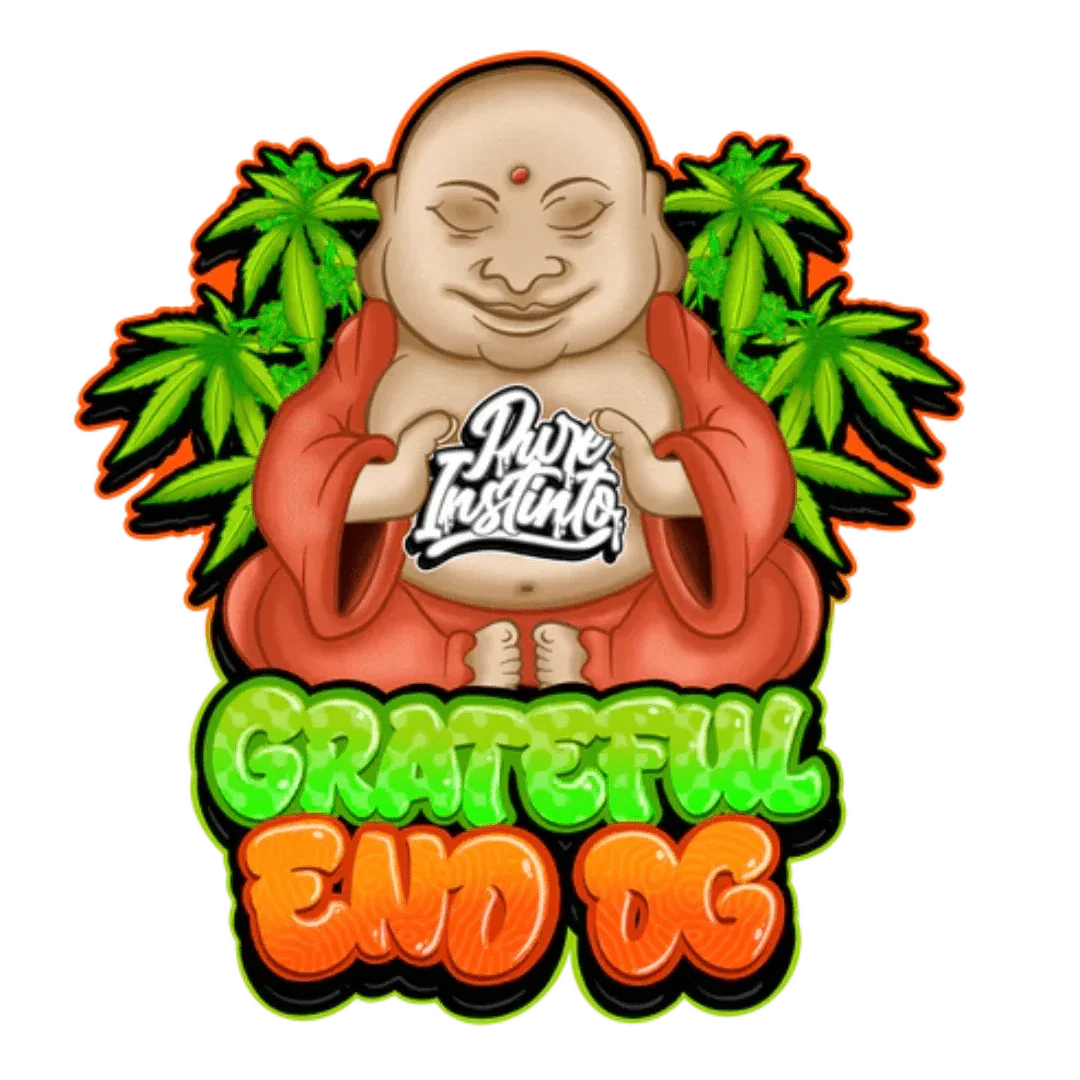 Grateful End OG Pure Instinto -siementen pakkaus, jossa näkyy laatumerkki ja lajikekuvaus. Ihanteellinen kokoelmiin ja tutkimukseen.
