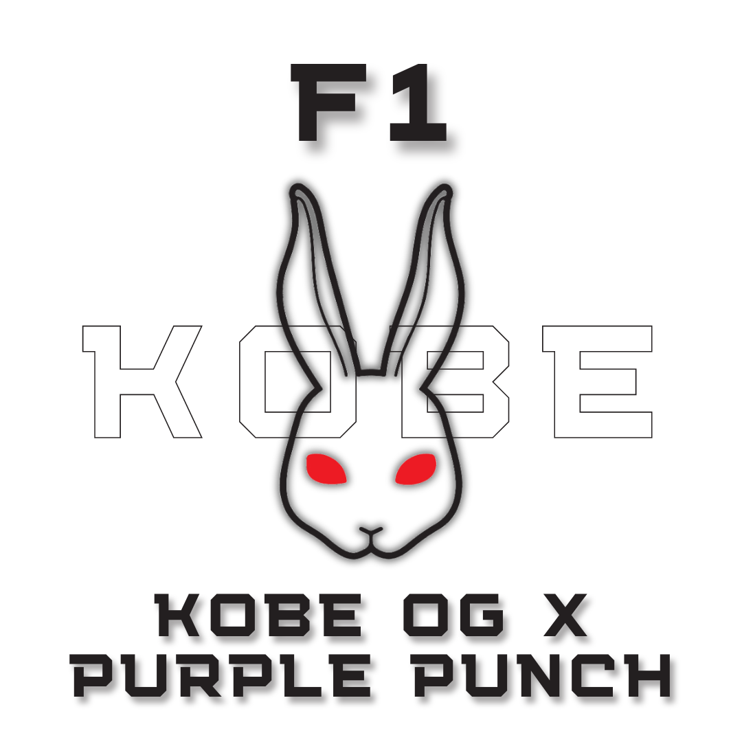 F1 KOBE OG x Purple Punch