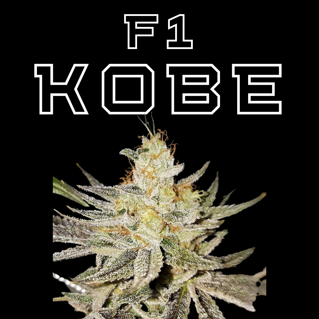 F1 KOBE OG x Jet Fuel AKA Legacy OG