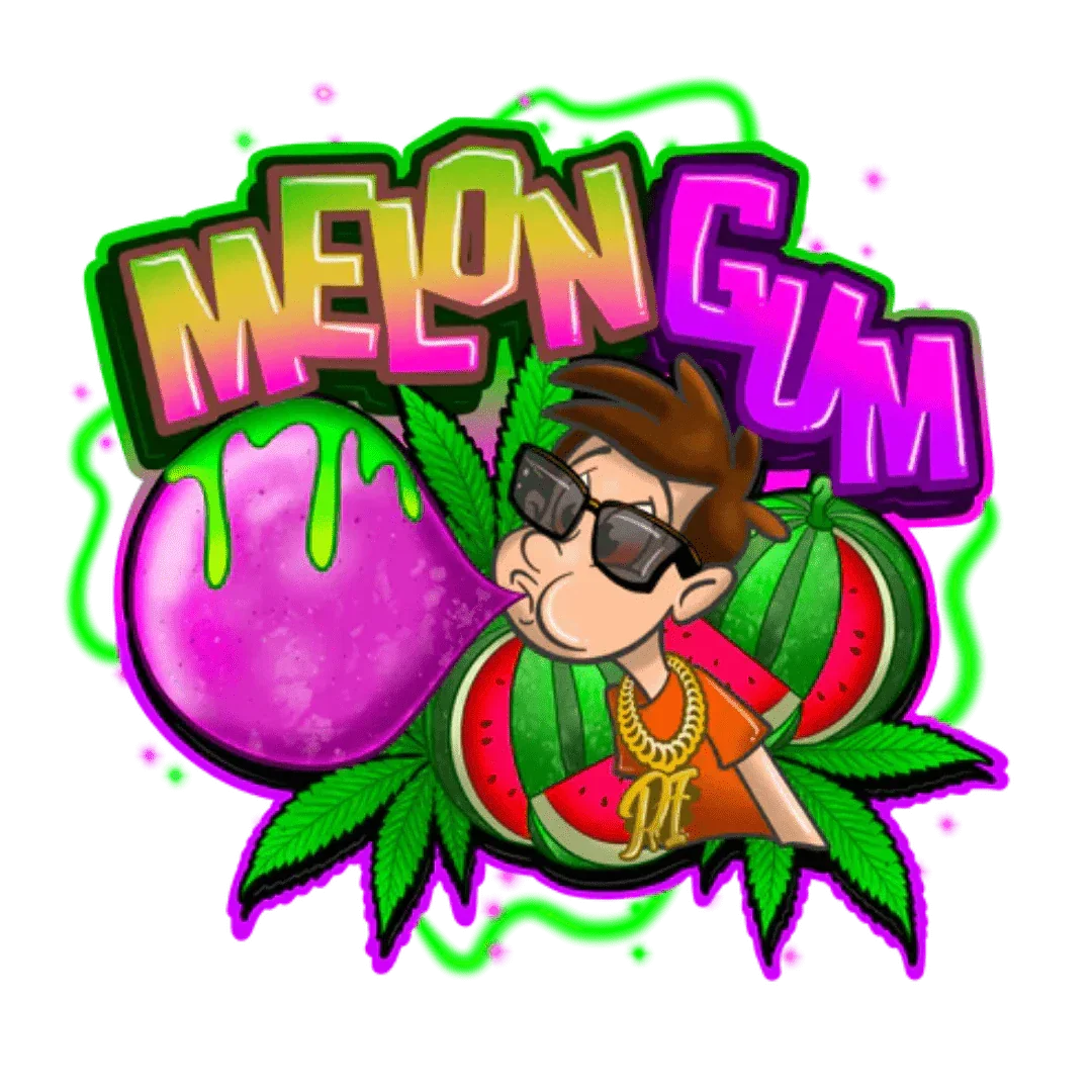 Melon Gum Pure Instinto siemenpakkaus