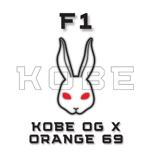 F1 KOBE OG x Orange 69