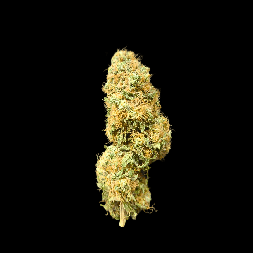 Snow White CBD ja CBG kukinto lähikuva trikomeista