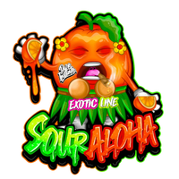 Pure Instinto Sour Aloha -feminisoidut siemenet laadukkaaseen kokoelmaan ja tutkimukseen