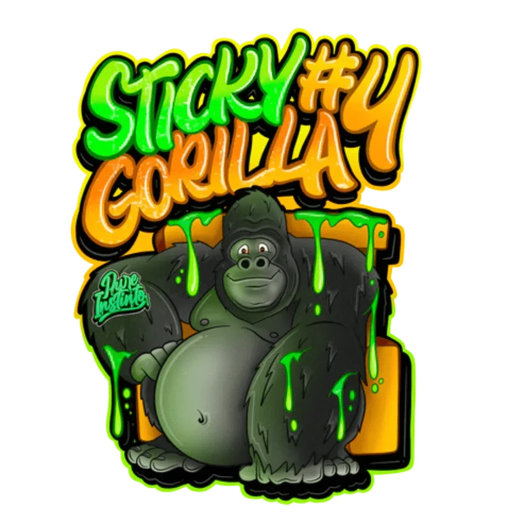 Sticky Gorilla 4# Pure Instinto -premium-siemenet, kuva puhtaudesta ja geneettisestä potentiaalista.