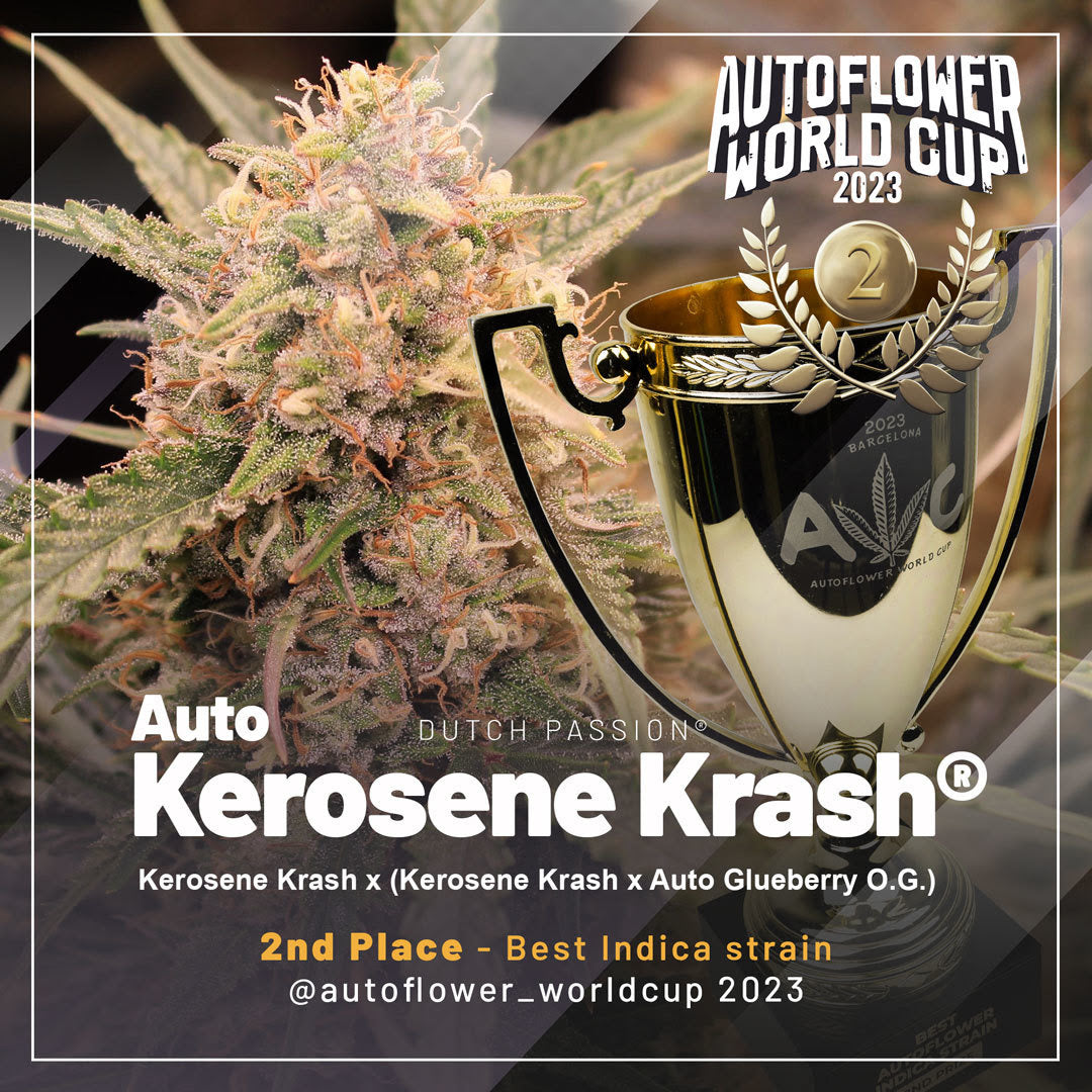 Auto Kerosene Krash (Dutch Passion)