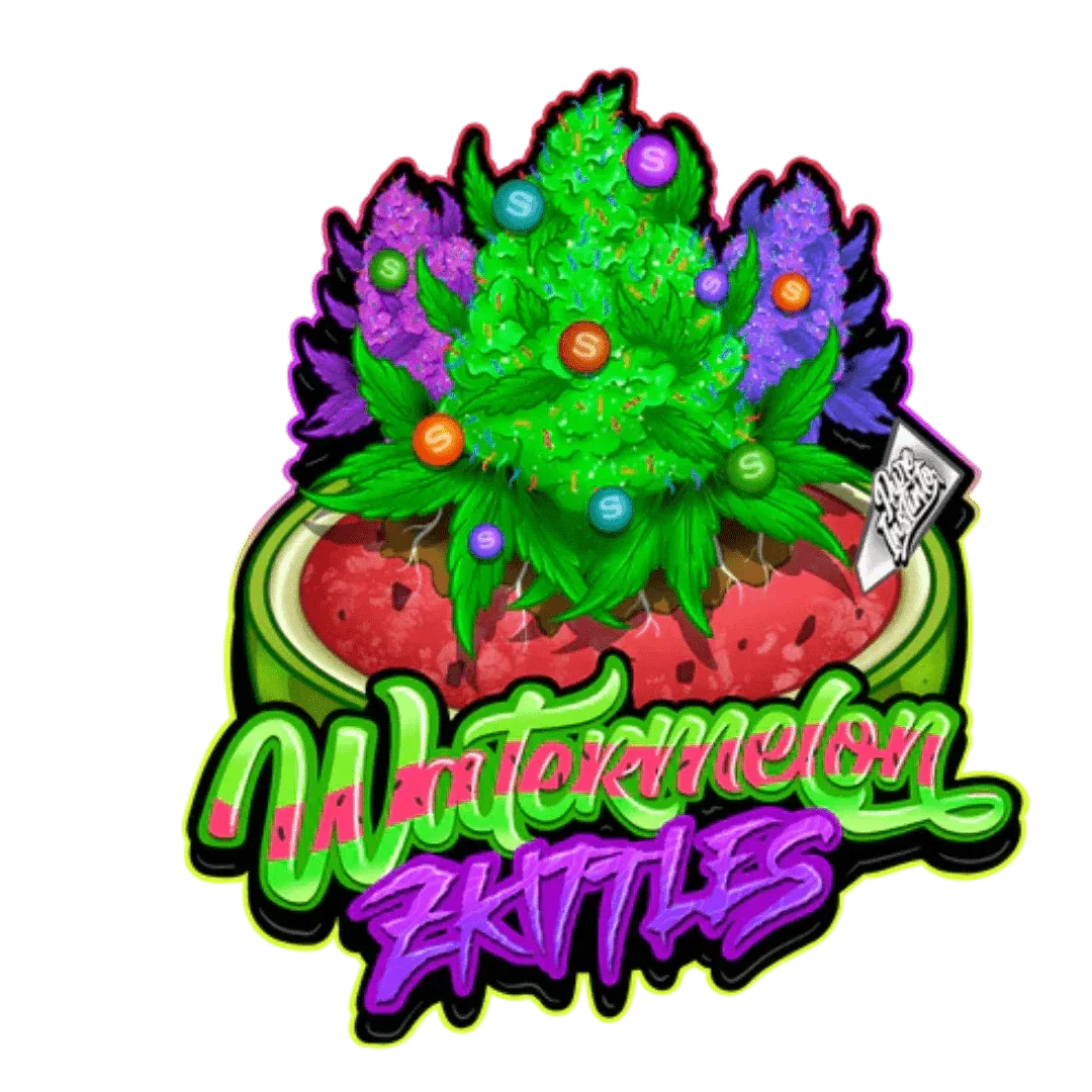 Pure Instinto Watermelon Zkittlez -siemenpakkaus ja kypsiä marjoja, korostaen lajikkeen makeaa ja hedelmäistä luonnetta.