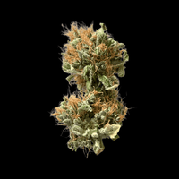 Kuva Zero CBD/CBG hamppukukinnosta, jossa näkyy tiheät, vihreät kukinnot ja hienovarainen, valkoinen hartsikerros valkoisella taustalla.