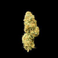 Lähikuva Zkittlez CBD/CBG kukinnoista, joissa näkyy runsaasti hartsimaisia trikomeita ja vivahteikkaita vihreän ja oranssin sävyjä.