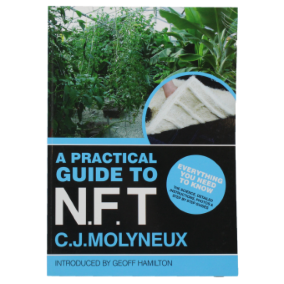 Practical guide to NFT