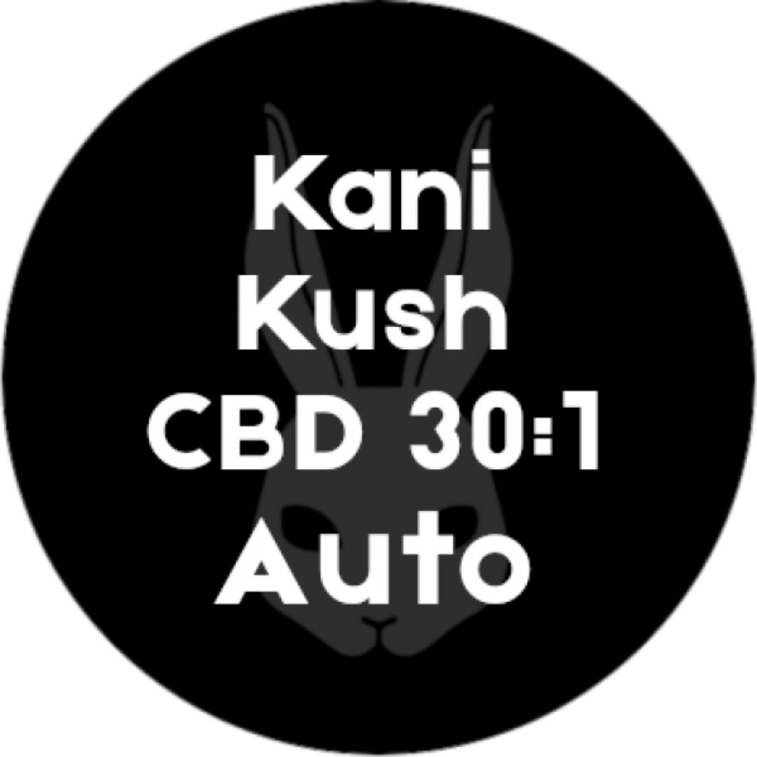 Kush CBD 30:1 Autoflower