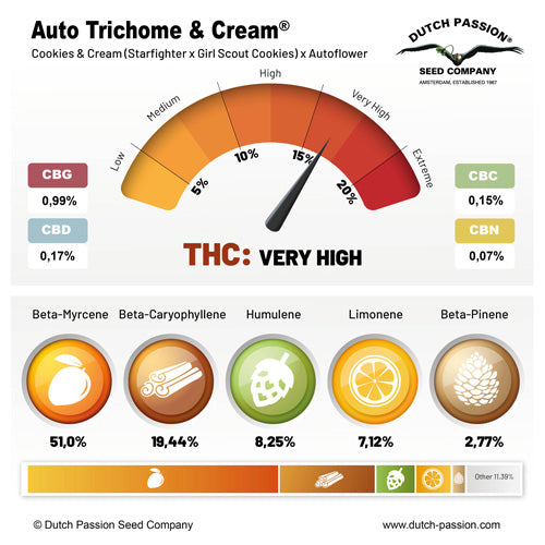 Auto Trichome & Cream (Dutch Passion)