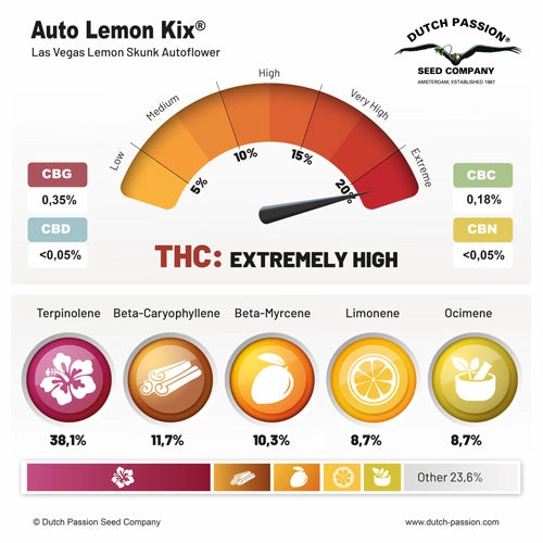 Auto Lemon Kix (Dutch Passion)