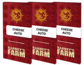 Cheese Auto (Barneys Farm)